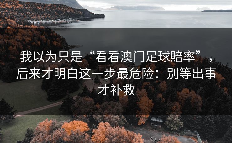 我以为只是“看看澳门足球賠率”，后来才明白这一步最危险：别等出事才补救